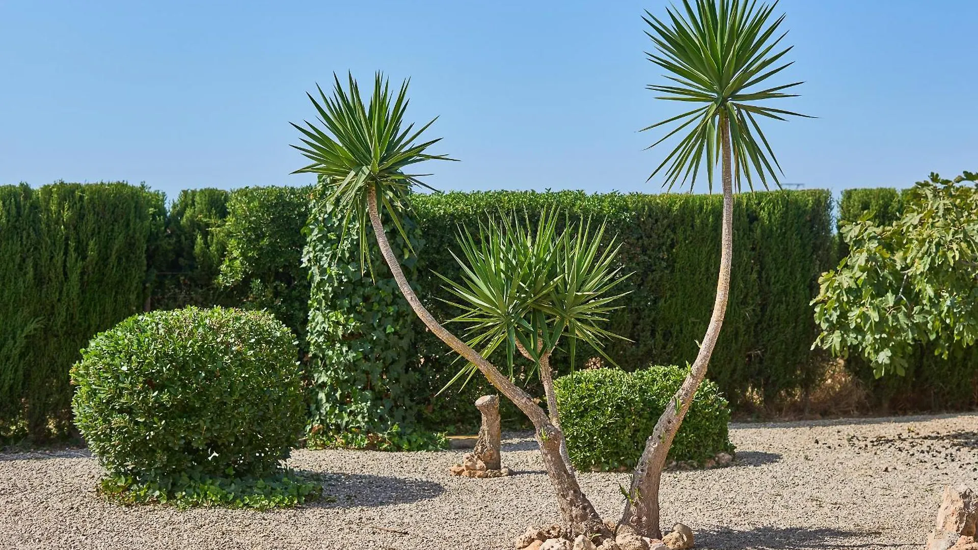 Finca Barralina Campos  Spain